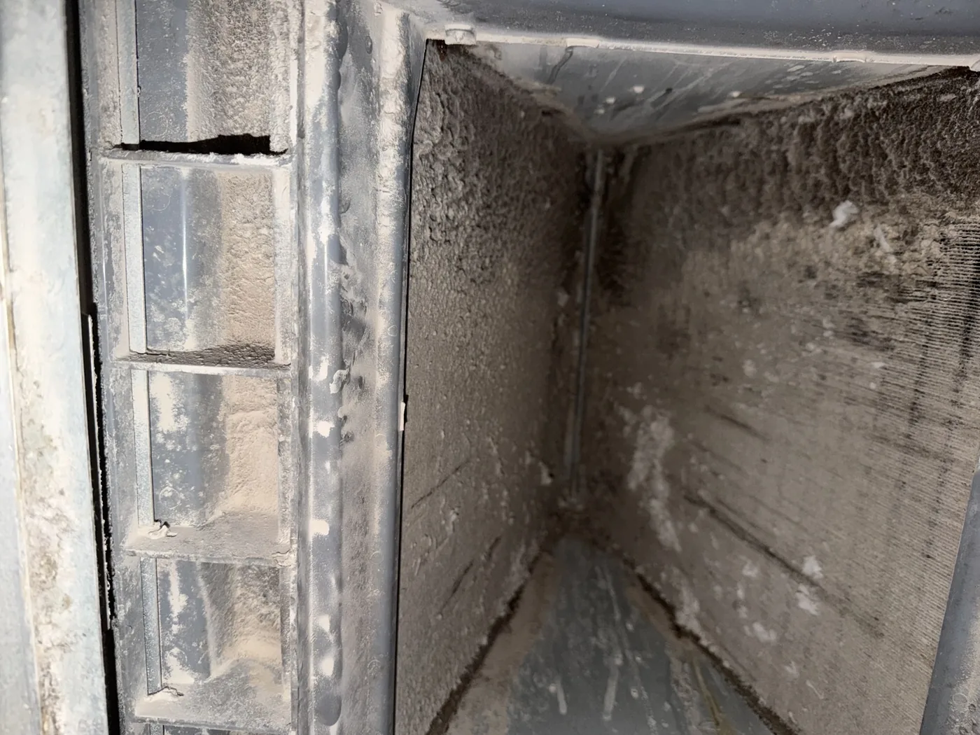 Dirty evaporator coil before cleaning