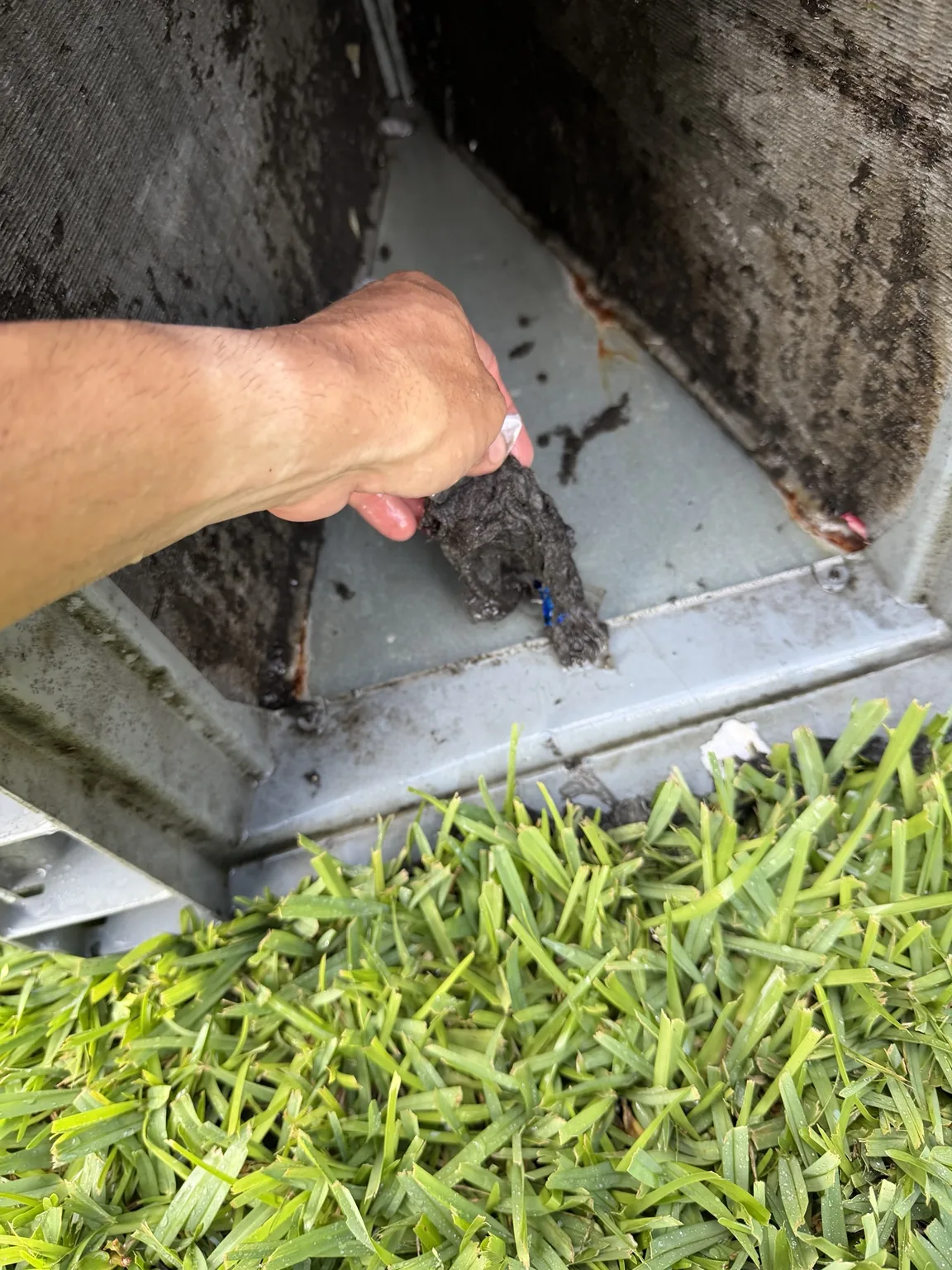 Air conditioning drain line service